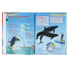 Детская энциклопедия. Киты и дельфины - Фото 3