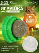 Игрушка для кошек из кошачьей мяты «Кот», 4.5×4.8×4.8 см, на основании, зелёный - Фото 1