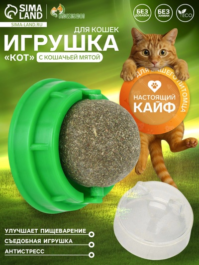 Игрушка для кошек из кошачьей мяты «Кот», 4.5×4.8×4.8 см, на основании, зелёный