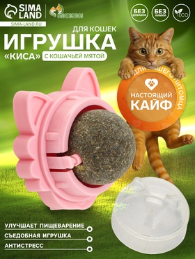 Игрушка для кошек из кошачьей мяты «Киса» на основании, 4.5×6×6 см, розовый