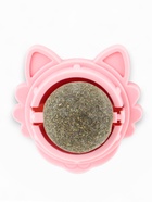 Игрушка для кошек из кошачьей мяты «Киса», 4.5×6×6 см, на основании, цвет МИКС - Фото 4