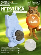 Игрушка для кошек из кошачьей мяты «Большой Кот», 4.5×6×6 см, на основании, МИКС - Фото 1