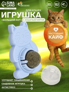 Игрушка для кошек из кошачьей мяты «Большой Кот» на основании, 4.5×6×6 см, микс цветов