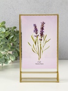 Двухсторонняя фоторамка прозрачная на 2 фото 10×15 см «Прозрачность мыслей», акрил, 4×13.5×18 см - Фото 1