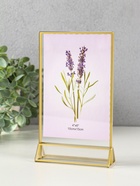 Двухсторонняя фоторамка прозрачная на 2 фото 10×15 см «Прозрачность мыслей», акрил, 4×13.5×18 см - Фото 2