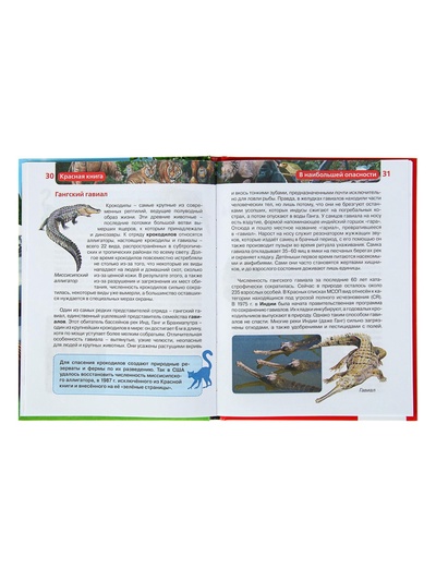 Детская энциклопедия «Красная книга»