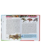 Детская энциклопедия «Красная книга» - Фото 5
