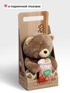 Мягкая игрушка «Мишка Бакстер», 24 см - Фото 2