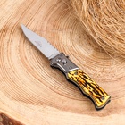 УЦЕНКА Нож выкидной «Тигр» 19.4 см, клинок 88 мм/1 мм 10949208