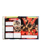 Энциклопедия «Аксолотль. Самые удивительные животные» - Фото 4