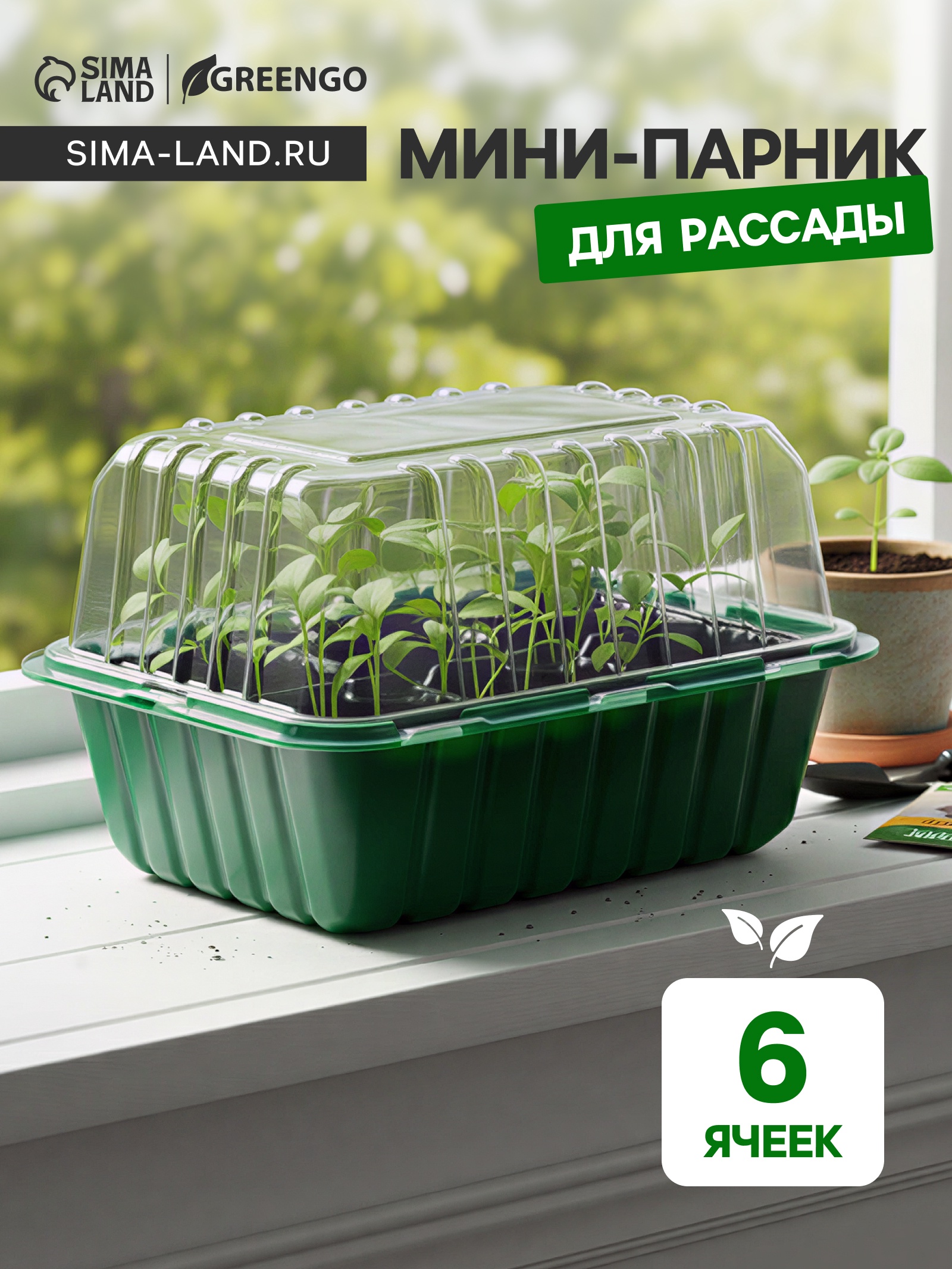 21-5-17-14-6-greengo