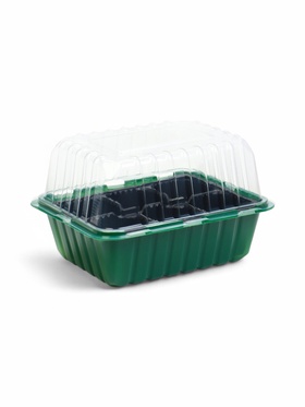 Мини - парник для рассады, 21?17.5 см, 6 ячеек, с крышкой, Greengo (комплект 5 шт)