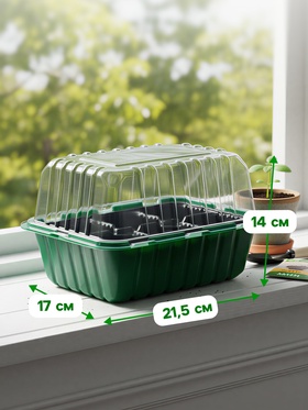 Мини - парник для рассады, 21.5?17?14 см, 6 ячеек, с крышкой, Greengo (комплект 5 шт)