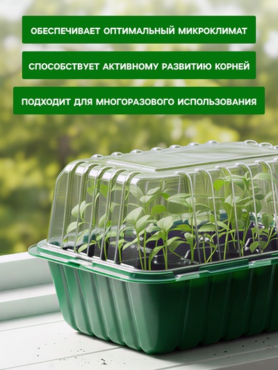 Мини - парник для рассады, 21.5×17×14 см, 6 ячеек, с крышкой, Greengo