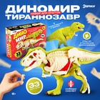 УЦЕНКА ЭВРИКИ Набор для опытов «Диномир», строение тела динозавра, тираннозавр 10951848