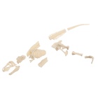 УЦЕНКА ЭВРИКИ Набор для опытов «Диномир», строение тела динозавра, тираннозавр 10951848