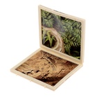 УЦЕНКА ЭВРИКИ Набор для опытов «Диномир», строение тела динозавра, тираннозавр 10951848