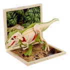 УЦЕНКА ЭВРИКИ Набор для опытов «Диномир», строение тела динозавра, тираннозавр 10951848