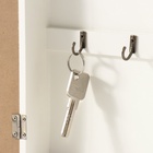 УЦЕНКА Ключница дерево 5 крючков «Дом и папоротник» 6×20×25.8 см - фото 14970322