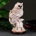 УЦЕНКА Фигура «Сова с книгой на подставке» 18×21×34 см состаренная 10951882