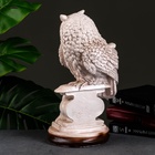 УЦЕНКА Фигура «Сова с книгой на подставке» 18×21×34 см состаренная 10951882