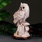 УЦЕНКА Фигура «Сова с книгой на подставке» 18×21×34 см состаренная 10951882