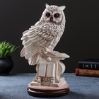 УЦЕНКА Фигура «Сова с книгой на подставке» 18×21×34 см состаренная 10951882