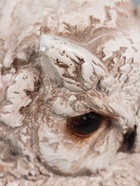 УЦЕНКА Фигура «Сова с книгой на подставке» 18×21×34 см состаренная 10951882