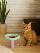 Миска пластиковая на подставке 170 мл 10917196