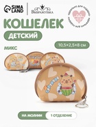 Кошелёк детский «Капибара», монетница, на молнии 10.5×2.5×8 см, с принтом, МИКС - Фото 1
