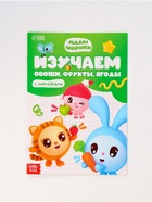 Книги «Годовой курс», набор 12 книг, Малышарики - Фото 2