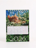 Календарь 2026 настольный, домик «Коты» 10×14 см - Фото 6