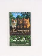 Календарь 2026 настольный, домик «Коты» 10×14 см - Фото 10