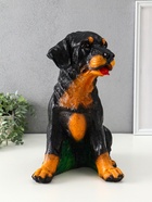 Копилка для денег «Ротвейлер», гипс, 37.5×23.5×29 см - фото 809290452 Копилка для денег «Ротвейлер», гипс, 37.5×23.5×29 см - фото 809290452