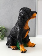 Копилка для денег «Ротвейлер», гипс, 37.5×23.5×29 см - фото 809290453 Копилка для денег «Ротвейлер», гипс, 37.5×23.5×29 см - фото 809290453