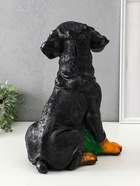 Копилка для денег «Ротвейлер», гипс, 37.5×23.5×29 см - фото 809290454 Копилка для денег «Ротвейлер», гипс, 37.5×23.5×29 см - фото 809290454