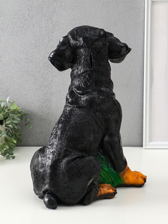 Копилка для денег «Ротвейлер», гипс, 37.5×23.5×29 см