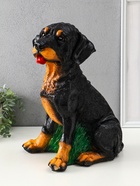 Копилка для денег «Ротвейлер», гипс, 37.5×23.5×29 см - фото 809290455 Копилка для денег «Ротвейлер», гипс, 37.5×23.5×29 см - фото 809290455