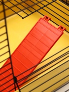 Клетка для грызунов «Мини» одноярусная, 29×25×24 см, жёлтый - фото 809290489 Клетка для грызунов «Мини» одноярусная, 29×25×24 см, жёлтый - фото 809290489