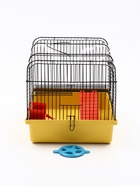 Клетка для грызунов «Мини» одноярусная, 29×25×24 см, жёлтый - фото 809290485 Клетка для грызунов «Мини» одноярусная, 29×25×24 см, жёлтый - фото 809290485
