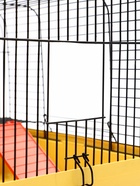 Клетка для грызунов «Мини» одноярусная, 29×25×24 см, жёлтый - фото 809290488 Клетка для грызунов «Мини» одноярусная, 29×25×24 см, жёлтый - фото 809290488