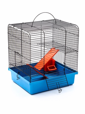 2 яруса синяя