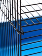 Клетка для грызунов «Мини» двухъярусная, 29×25×32 см, синий - фото 809290508 Клетка для грызунов «Мини» двухъярусная, 29×25×32 см, синий - фото 809290508