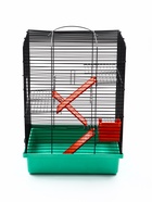 Клетка для грызунов «Мини» трехъярусная, 29×25×40 см, микс - фото 809290513 Клетка для грызунов «Мини» трехъярусная, 29×25×40 см, микс - фото 809290513