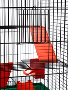 Клетка для грызунов «Мини» трехъярусная, 29×25×40 см, микс - фото 809290519 Клетка для грызунов «Мини» трехъярусная, 29×25×40 см, микс - фото 809290519