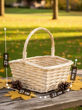 Корзина плетёная для хранения, 27×22×14 см, ручка h=13 см, ива, белая