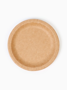 Посуда бумажная одноразовая «Крафт», 20 персон