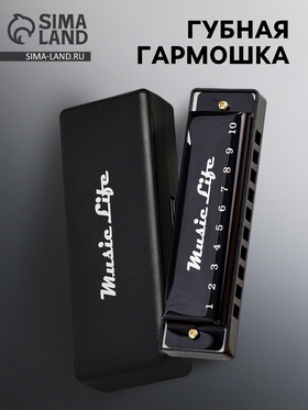 УЦЕНКА Губная гармошка Music Life, диатоническая, C-major, с футляром, черная 10952506