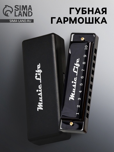 УЦЕНКА Губная гармошка Music Life, диатоническая, C-major, с футляром, черная
