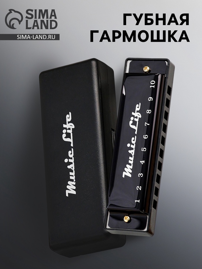 УЦЕНКА Губная гармошка Music Life, диатоническая, C-major, с футляром, черная - Фото 1